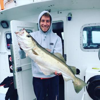 Snapper Skipper Luke Pettis's Photo