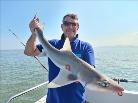 12 lb Smooth-hound (Common) by Mark Nixon