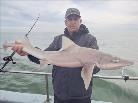 12 lb Starry Smooth-hound by Curtis