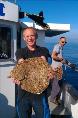 11 lb Turbot by Unknown