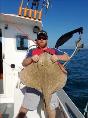 19 lb 3 oz Blonde Ray by Unknown