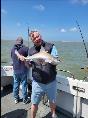 8 lb 4 oz Smooth-hound (Common) by Brian Forsyth