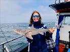 6 lb 2 oz Starry Smooth-hound by Unknown