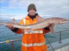 8 lb Starry Smooth-hound by Curtis