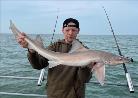 8 lb 8 oz Smooth-hound (Common) by Unknown