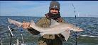 9 lb Starry Smooth-hound by James
