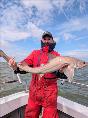 10 lb Smooth-hound (Common) by Sean