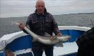 1 lb Smooth-hound (Common) by Vic from Goole
