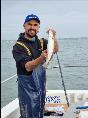 2 lb Whiting by Jay Hemming