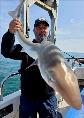 16 lb Tope by Simon