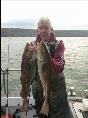 5 lb Cod by Ken wood from Malton