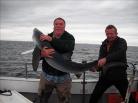 65 lb 10 oz Blue Shark by Unknown
