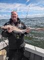 5 lb Smooth-hound (Common) by Alex