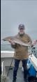 12 lb Smooth-hound (Common) by Keith