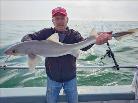 8 lb Starry Smooth-hound by Hendrix