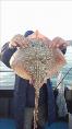 5 lb 4 oz Thornback Ray by Unknown