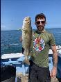 6 lb Cod by Andy from hull cod fishing