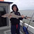 10 lb Starry Smooth-hound by Rhys D