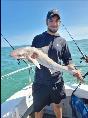 11 lb 9 oz Smooth-hound (Common) by Taylor Dinnage