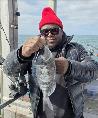 1 lb 12 oz Black Sea Bream by Unknown