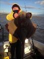 21 lb Blonde Ray by Dee