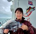 1 lb 8 oz Black Sea Bream by Unknown