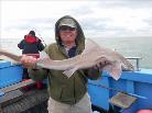 10 lb Starry Smooth-hound by Leon
