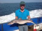 13 lb Starry Smooth-hound by Keith