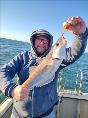 3 lb 5 oz Whiting by Mark