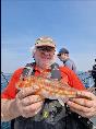1 lb Red Mullet by Malcom