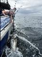 1 lb Bluefin Tuna by Sam