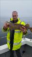 4 lb Cod by Peter Griffiths