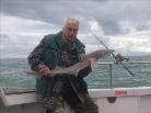 7 lb Smooth-hound (Common) by Terry of Kent